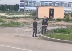 Откупаются конфетами: мини-ДПСники продолжают следить за порядком на окраине Воронежа 