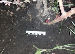 В День Победы воронежец решил поработать закладчиком наркотиков