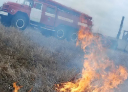 В Воронежской области пожарные тушили траву и камыш на болоте