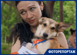 "Когда спасаешь собаку, ты спасаешь целый мир"