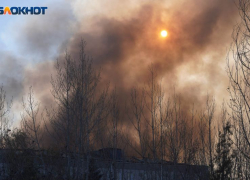 Третий класс пожарной опасности установили в 26 районах Воронежской области