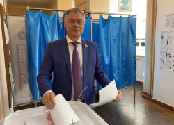 Как руководство Воронежской облдумы голосовало на выборах в Госдуму