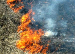 В Воронежской области власти начали борьбу с весенними поджогами сухой травы