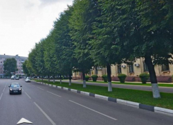 Воронежца сбили на пешеходном переходе у дверей правительства