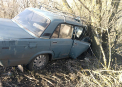 Водитель ВАЗа на скорости врезался в дерево в Воронежской области 