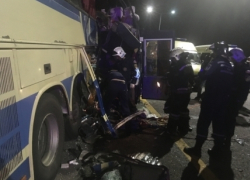 Пострадавших в ДТП с автобусами под Воронежем увезли в две больницы