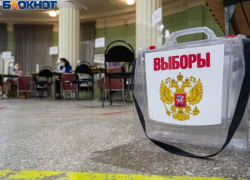 Явка в Воронеже ниже, чем по области: Избирком подвёл итоги первого дня выборов в облдуму
