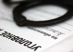 Возбуждены уголовные дела из-за мошенничества с землей в Воронеже на 3 млн рублей