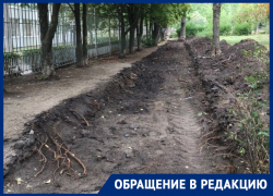 Странную ликвидацию асфальта около воронежского лицея объяснили в администрации