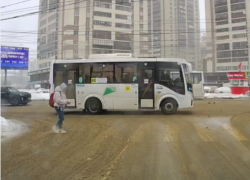 Воронежцы сыграли в снежки с автобусом 