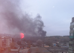 Черный дым из леса на юго-западе города с утра переполошил воронежцев