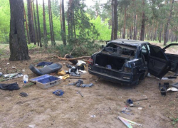 Разобранную мародерами машину нашли в воронежском лесу