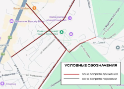 Запрет движения и парковки в одном из районов ожидает воронежцев 