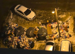 Нечищеные дороги стали причиной мусорного коллапса в воронежском ЖК