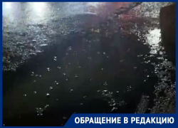 Опубликовано видео «речки-вонючки» на Димитрова, которая течет в Воронежское водохранилище