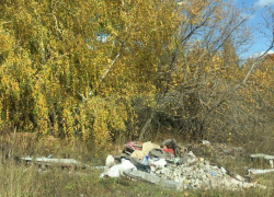 Вместо осеннего леса воронежцы приехали на свалку