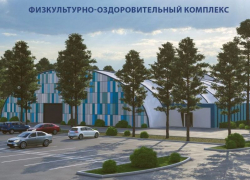 Физкультурно-оздоровительный комплекс построят около парка «Дельфин» в Воронеже