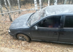 Личность водителя с отрезанной головой установили следователи в Воронеже