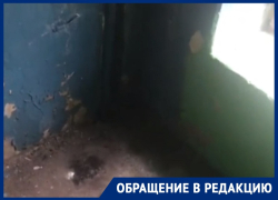 Мощный ливень насквозь пропитал подъезд дома в центре Воронежа