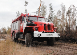 Санаторий эвакуируют из-за пожара в Воронежской области