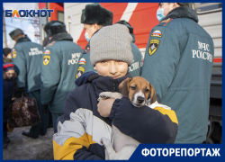 Спасение от войны: как Воронеж встретил беженцев из Донбасса