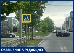 Светофор играет в прятки с автомобилистами в Воронеже 