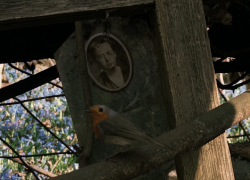  Могила ведьмы или место ритуалов сатанистов: воронежцы десятилетиями спорят о странном кладбище в Центральном районе