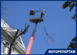 Ради чего перекрыли центр Воронежа и массово изменили маршруты автобусов 