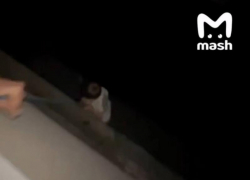  Видео с экстремальным спуском ребенка с балкона в Воронеже назвали фейком