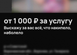 «Хамка на час»: в Воронеже появилась необычная услуга по эмоциональной разгрузке