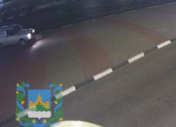 Игра автомобиля в «керлинг» цветочной клумбой попала на видео под Воронежем