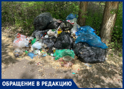 Нерасторопность коммунальщиков показали на примере импровизированной свалки в Воронеже 