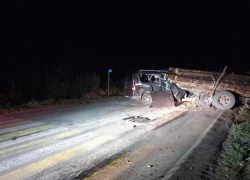 Бревна разворотили микроавтобус: опубликованы страшные фото с места смертельного ДТП в Воронежской области 