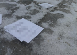 Листовки с незаконными призывами разбросали у воронежской братской могилы