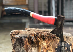 Женщину, зарубленную топором, нашли в Воронежской области