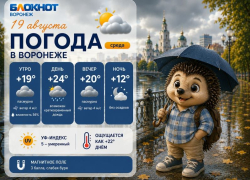 Лето не спешит уходить: прогноз погоды в Воронеже