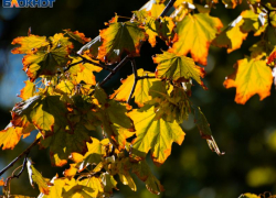 Замерзающему воронежцу грозит семь лет за попытку обогреться в обход закона