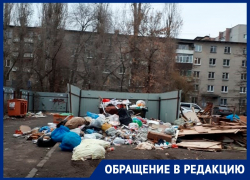 Жуткая помойка разрослась на Левом берегу в Воронеже 