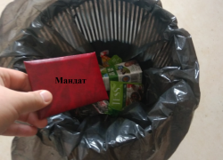 Двух воронежских депутатов лишили мандатов