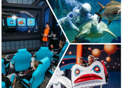 Куда пойти с ребёнком на каникулах в Воронеже: Парк аттракционов, океанариум, Кидбург?