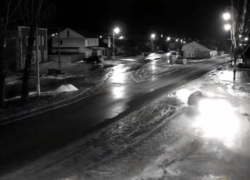 22-летняя лихачка на иномарке устроила переполох в Воронежской области