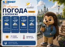 Конец аномальной жары: прогноз погоды в Воронеже