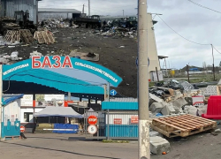 Алексеевский рынок «увяз» в мусоре, нечистотах и нарушениях: почему мэрия и Роспотребнадзор его не закрывают?