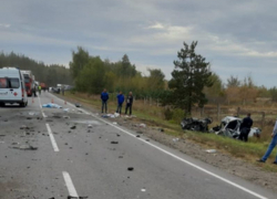 В ДТП с легковушкой и грузовиком на воронежской трассе погибли два белгородца