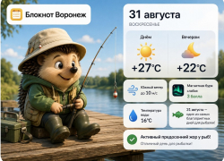 Какой будет погода в последний день уходящего лета в Воронеже?