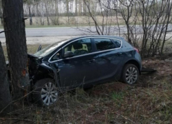  Кадры с места пьяного ДТП с деревом показали воронежские полицейские 