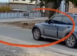 Сбил котенка и уехал: бесчеловечный поступок водителя попал на видео в Воронежской области 