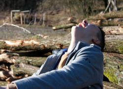 15-летний мальчик "заминировал" школу в Воронеже 