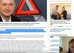 Вывести на чистую воду депутата Домнича решил известный российский блогер 