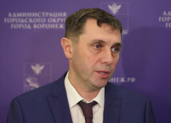 На кого мэр переложил ответственность за срыв сроков благоустройства воронежской набережной